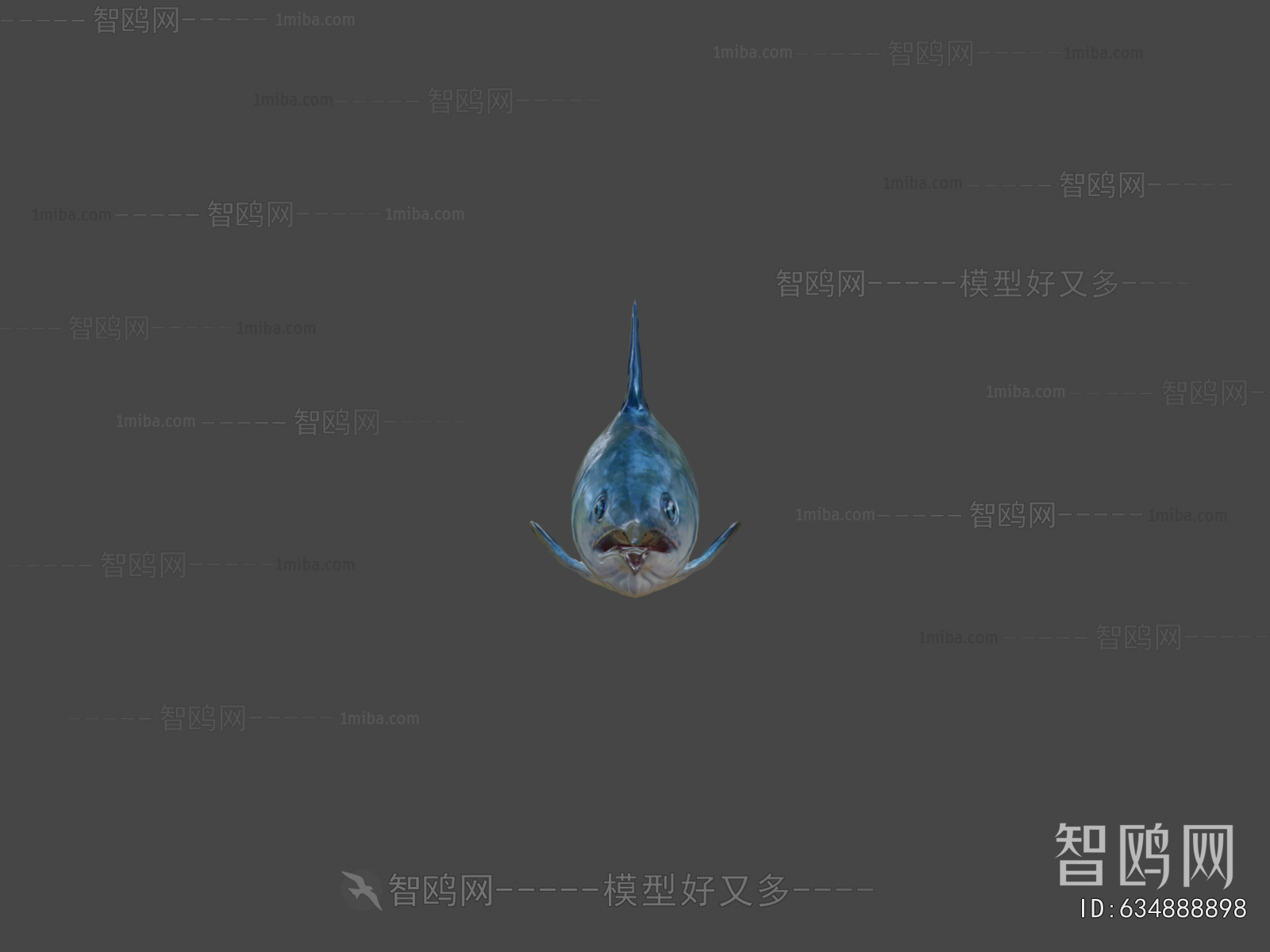 Modern Aquatic Animals