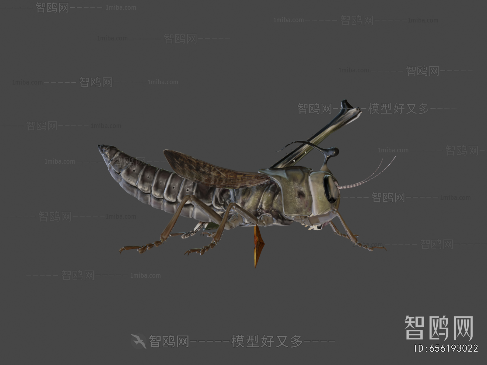 Modern Animal