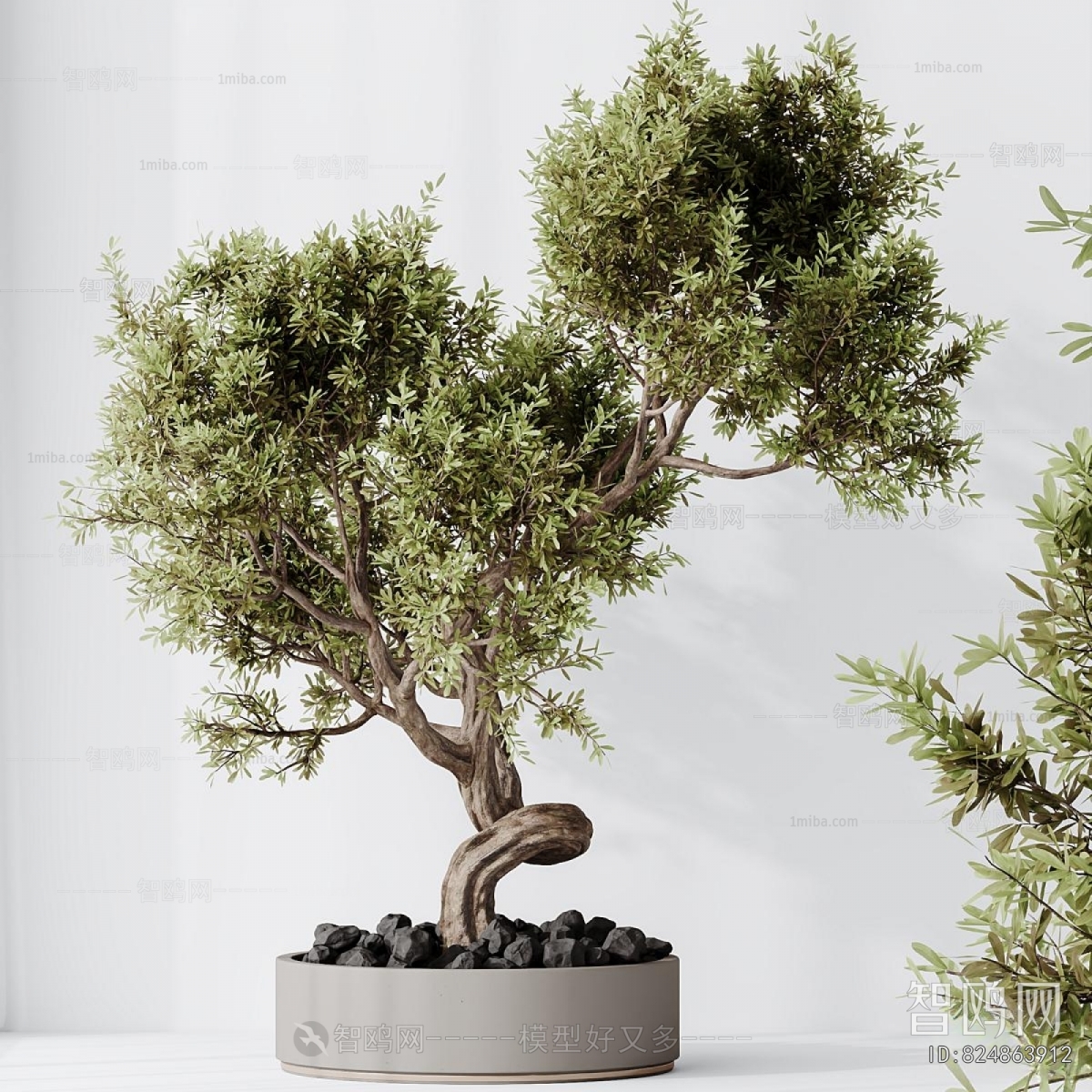 Modern Bonsai