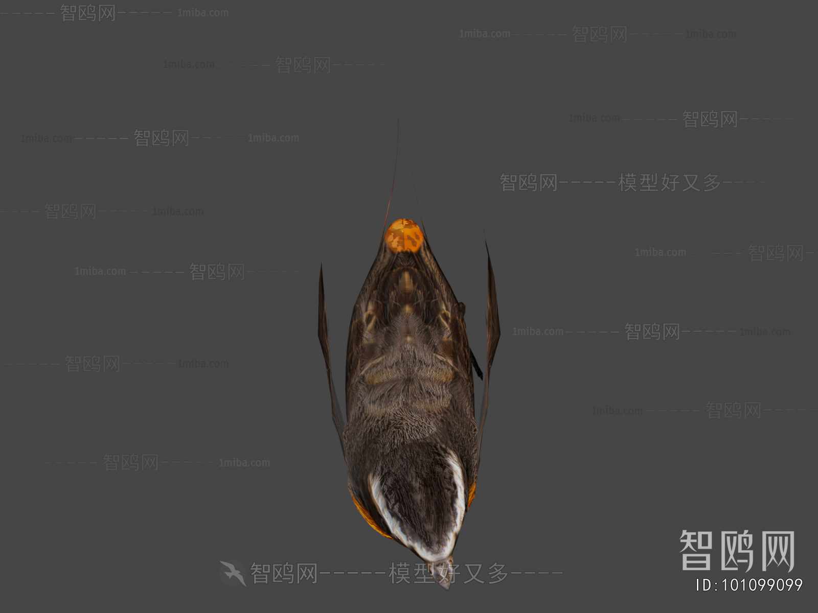 Modern Animal