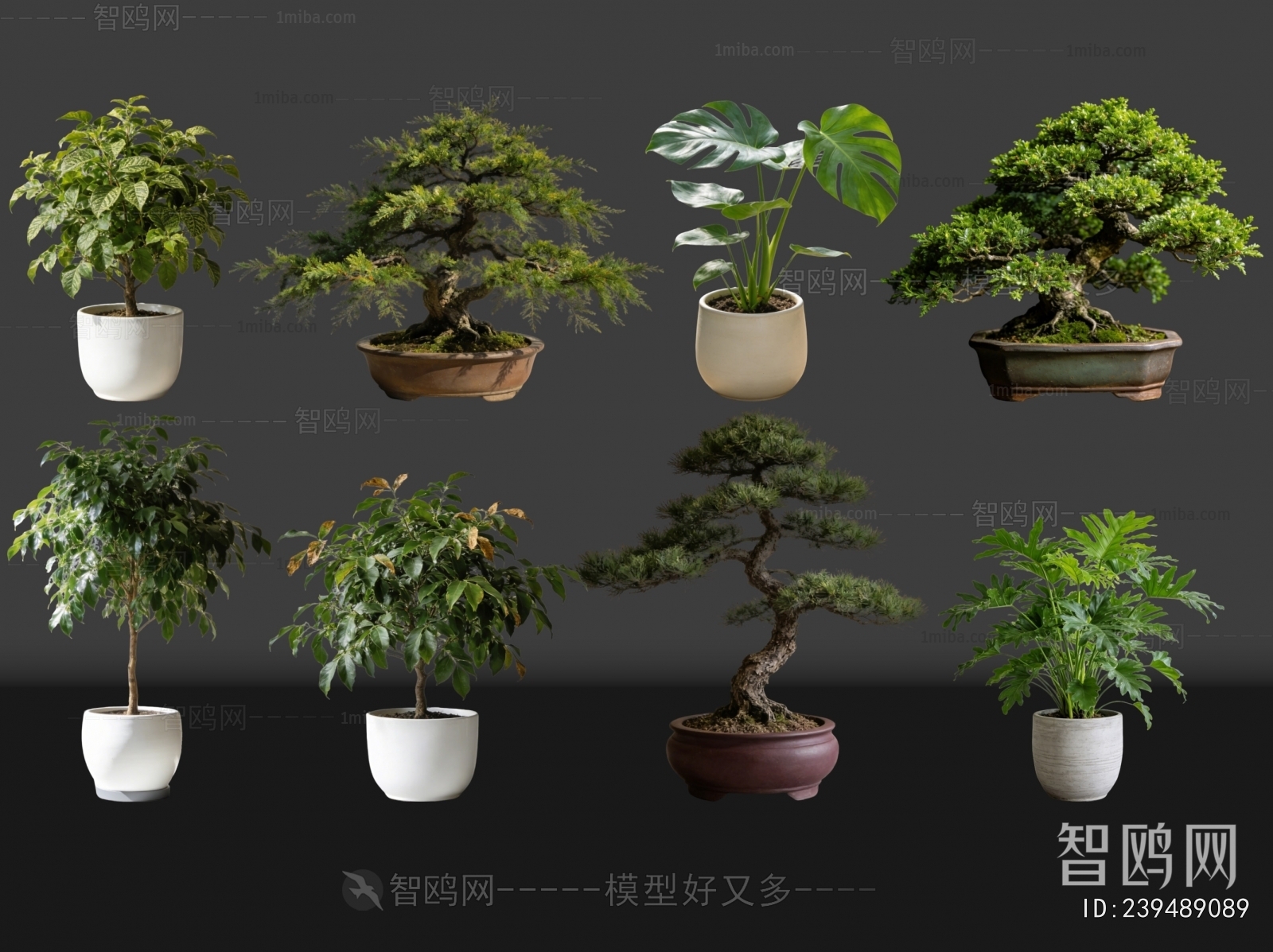 Modern Potted Green Plant