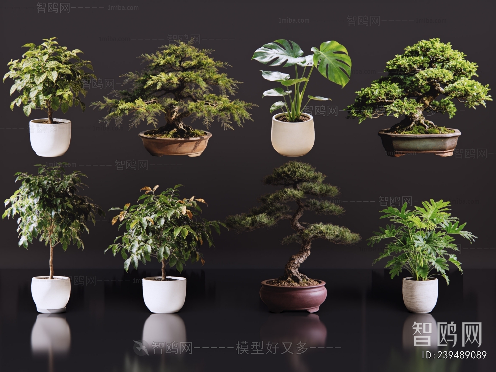 Modern Potted Green Plant