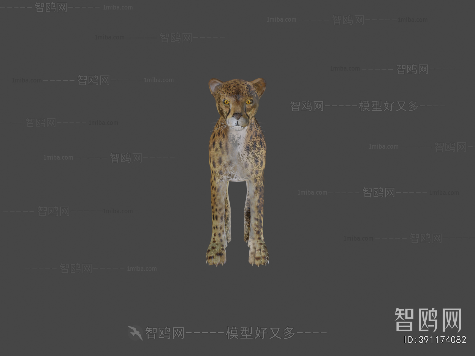 Modern Mammal