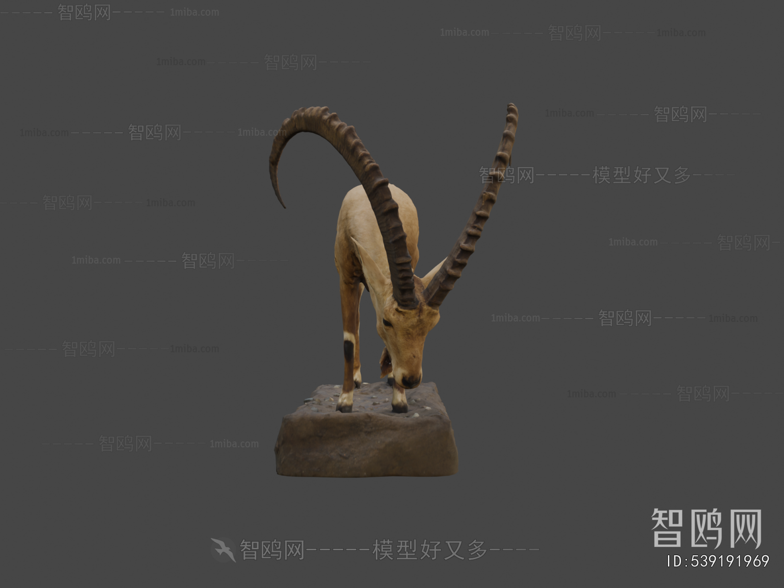 Modern Mammal