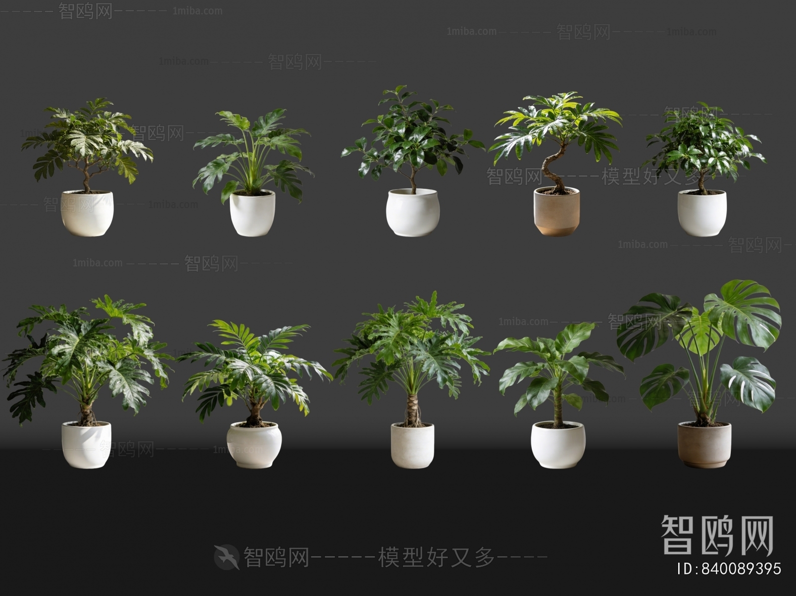 Modern Potted Green Plant