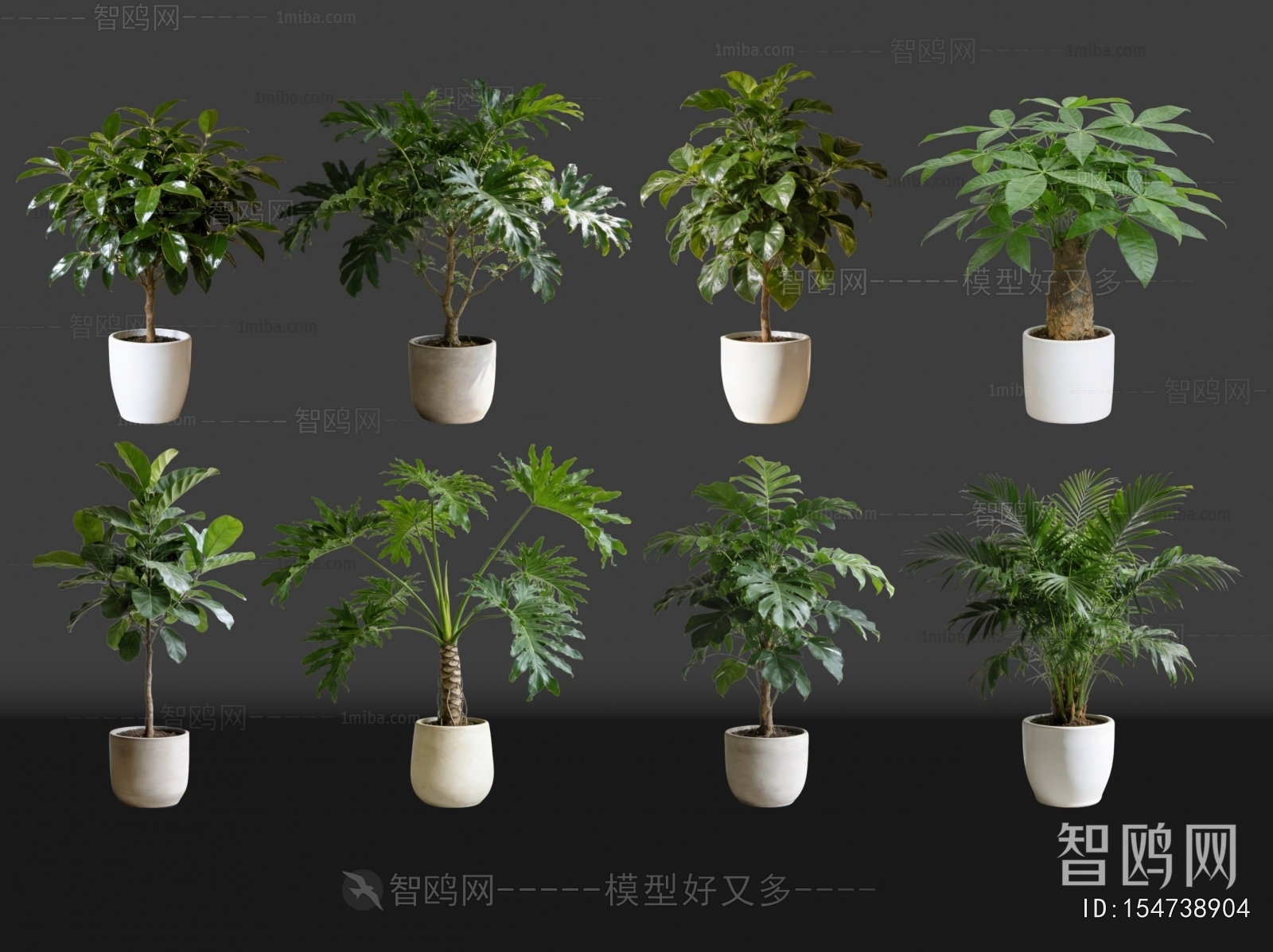 Modern Ground Green Plant Potted Plants