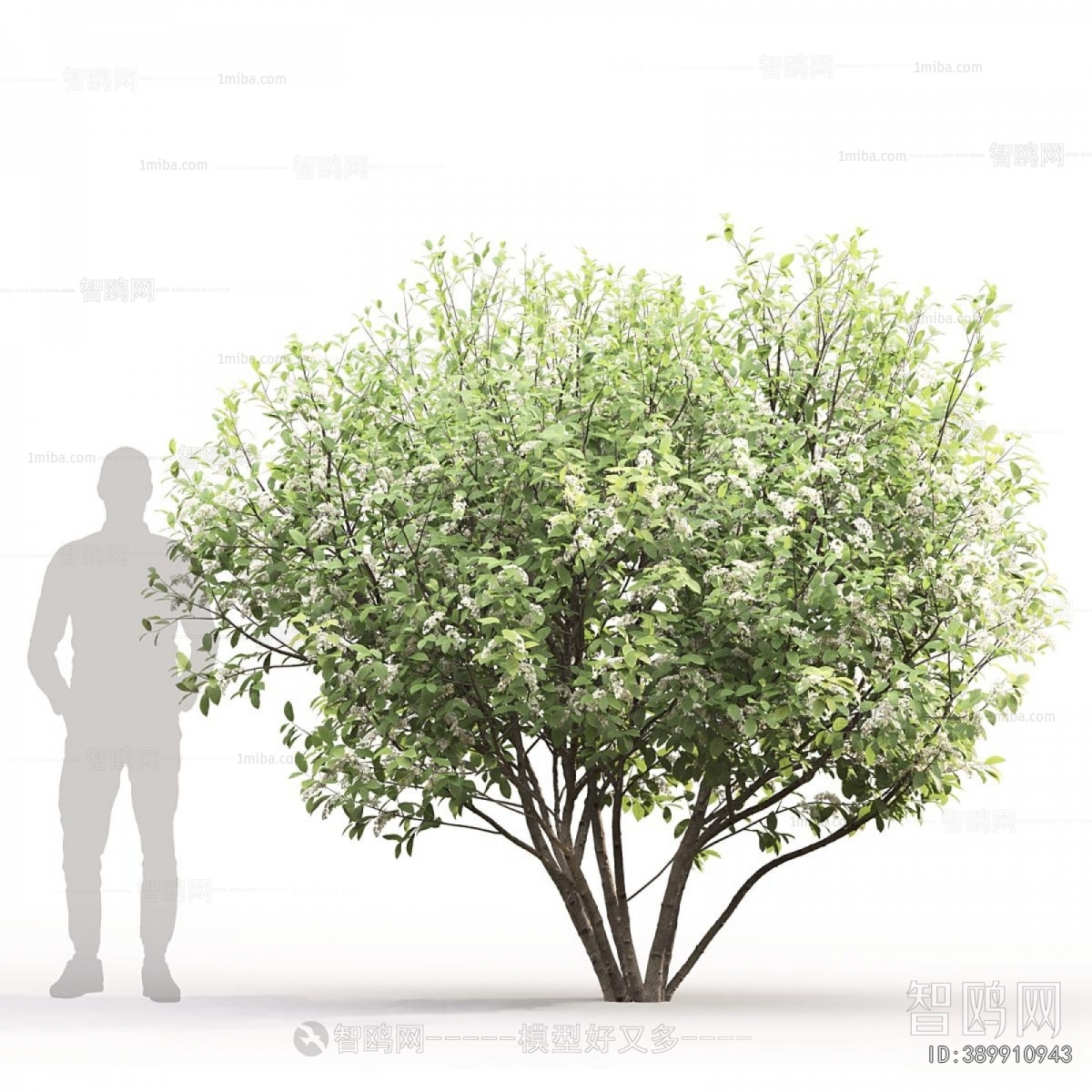 Modern Tree