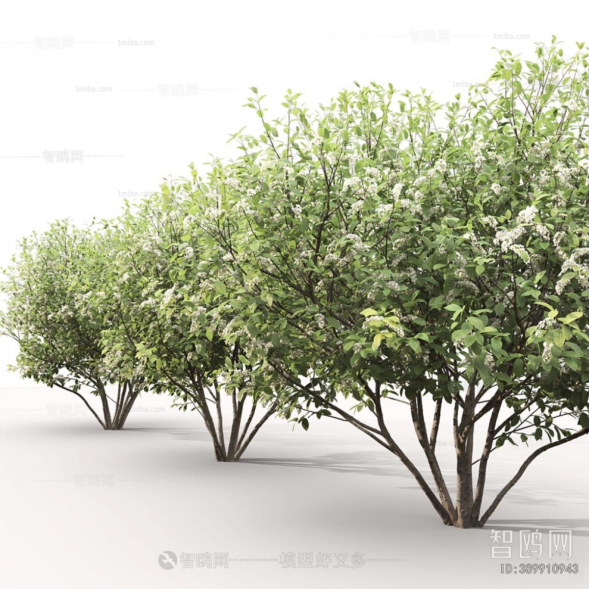 Modern Tree