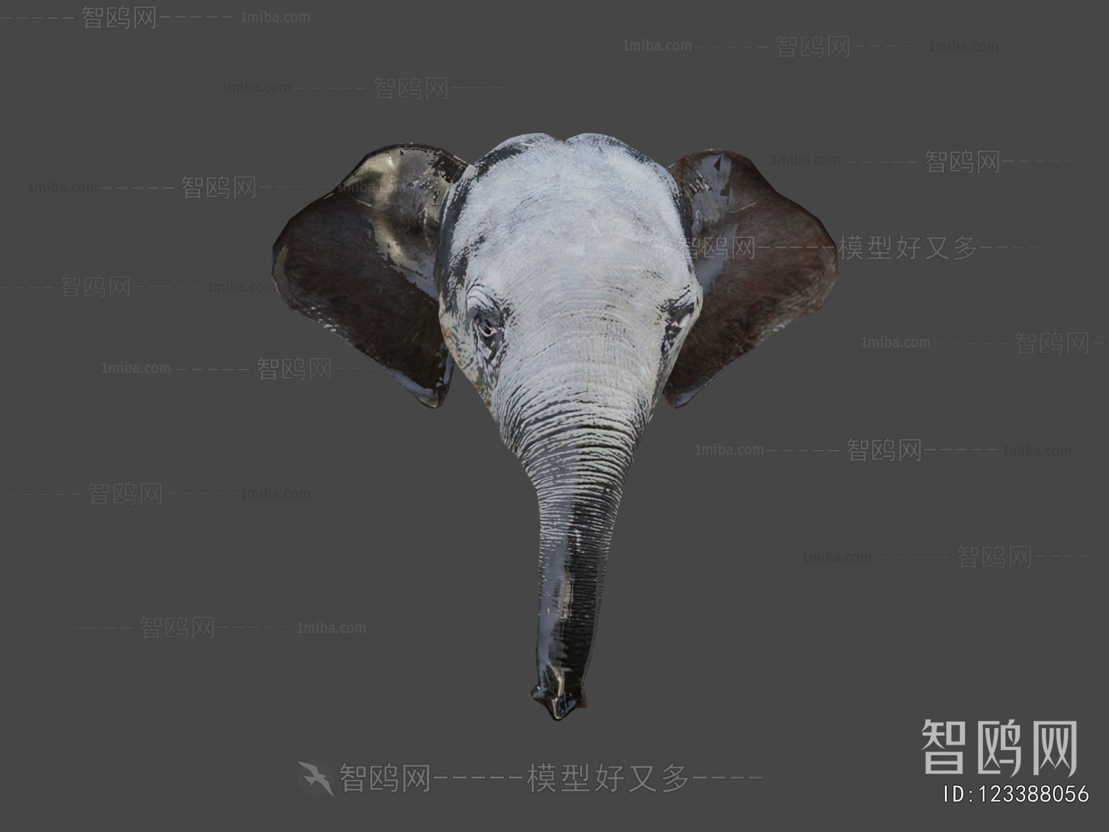 Modern Animal