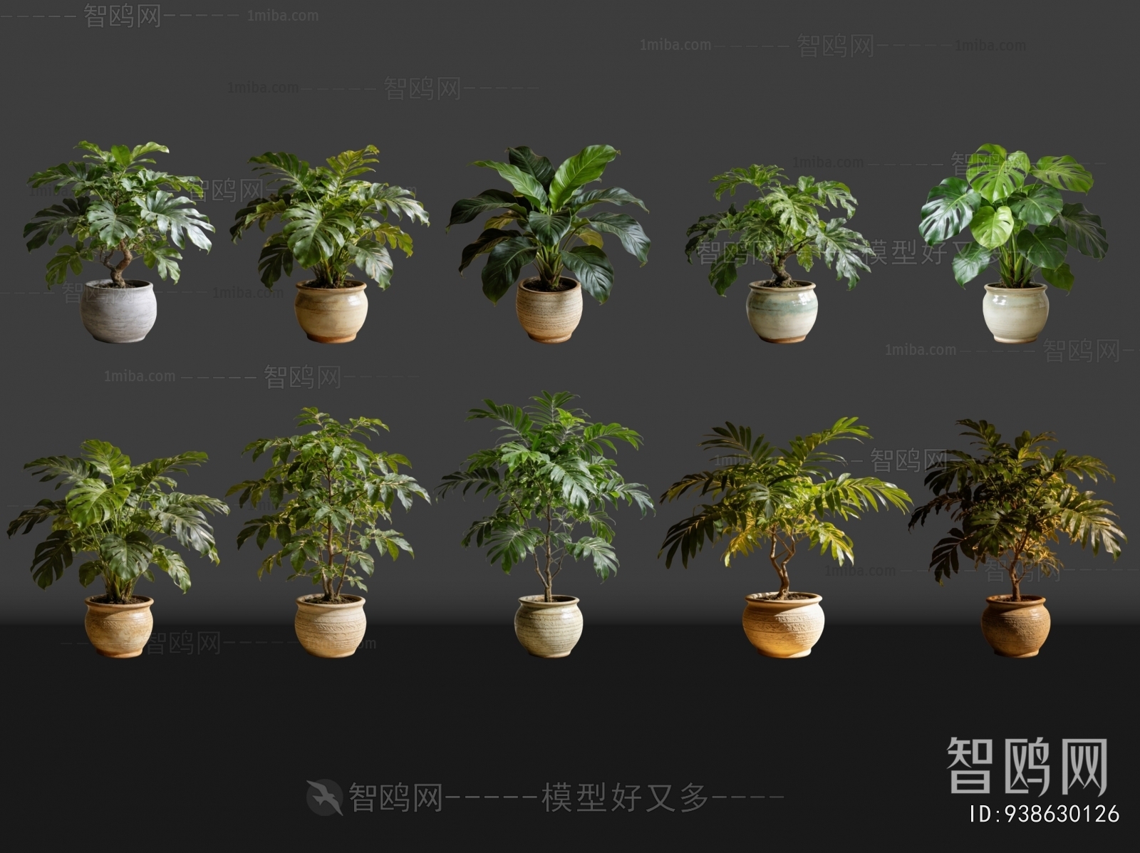 Modern Bonsai