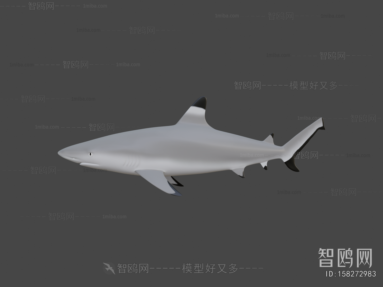 Modern Animal