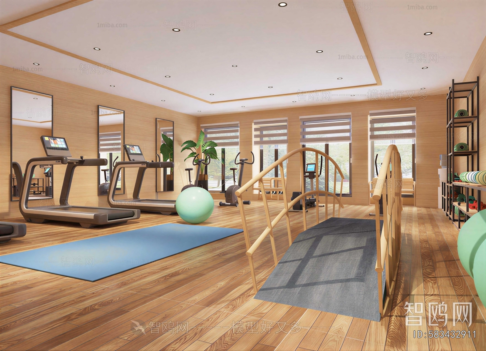 Modern Home Fitness Room