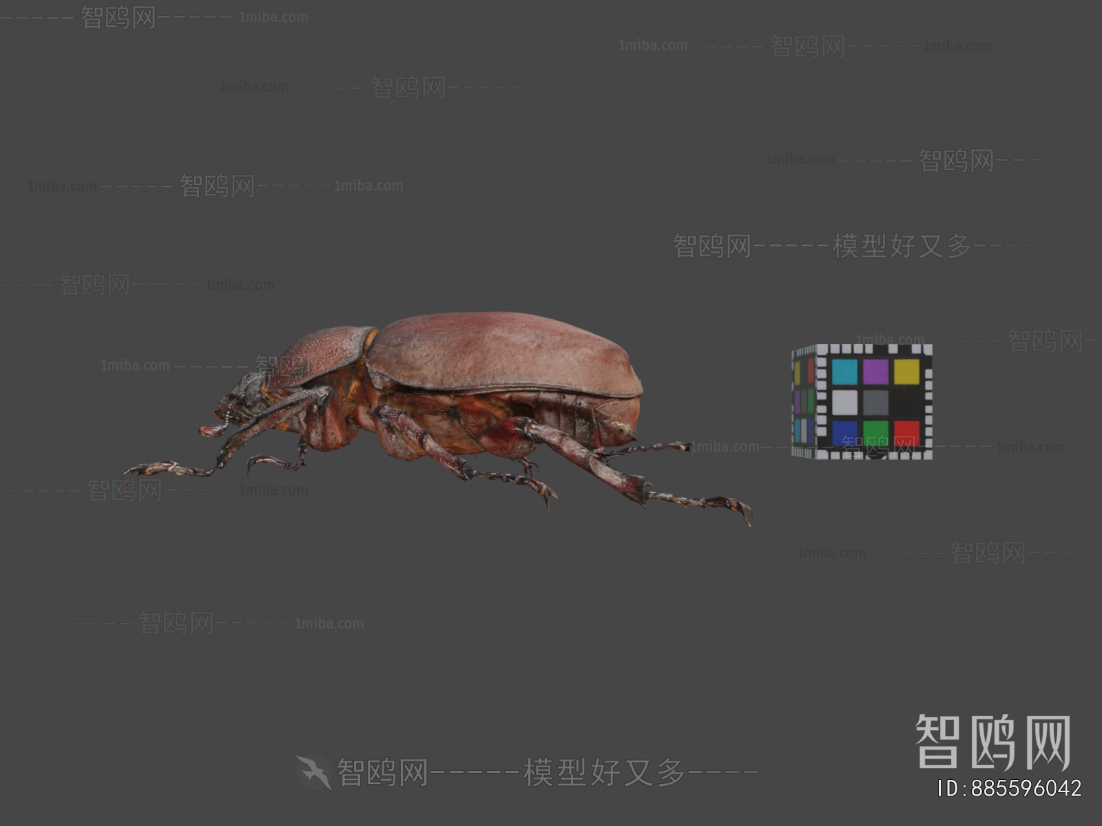 Modern Animal