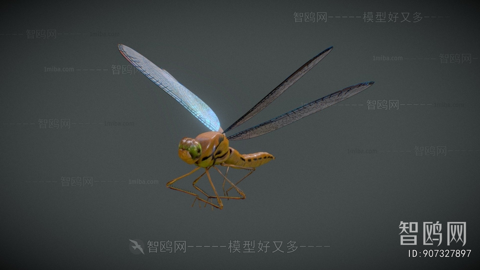 Modern Flying Animals