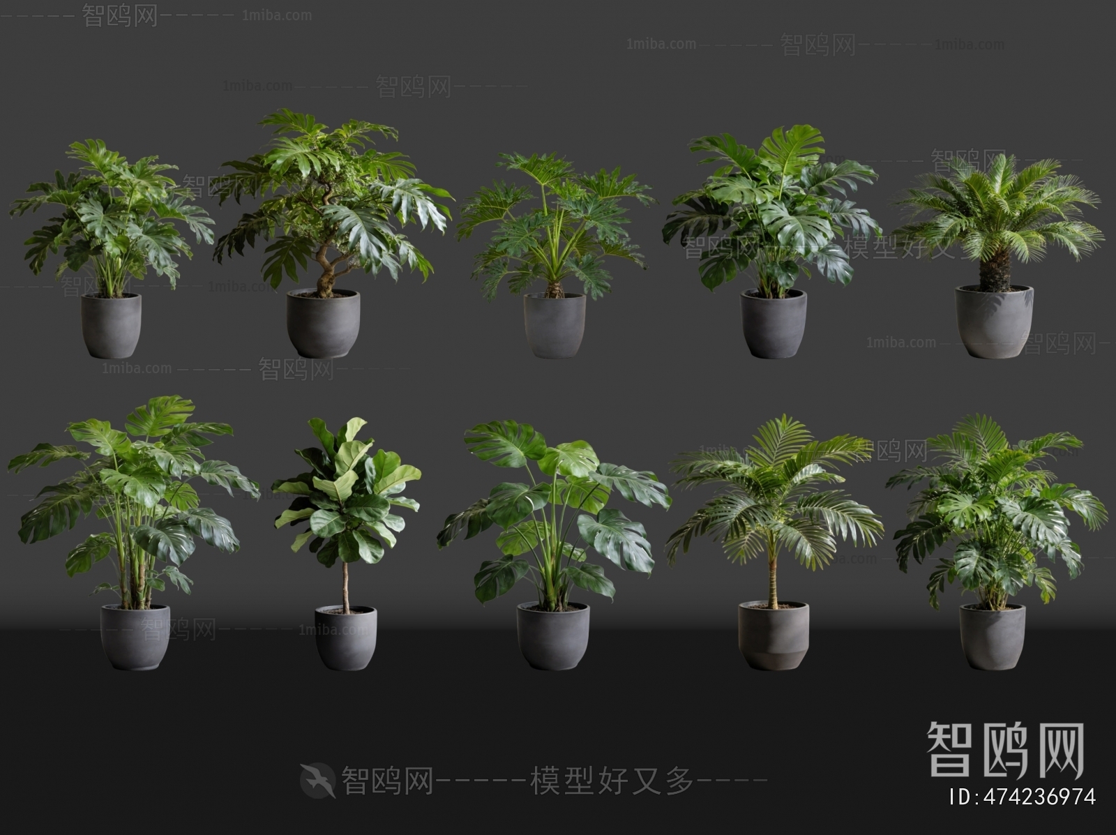Modern Ground Green Plant Potted Plants