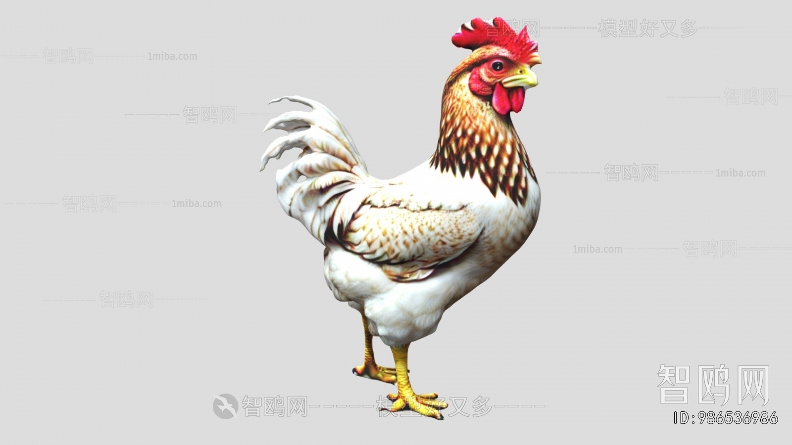Modern Poultry Animal