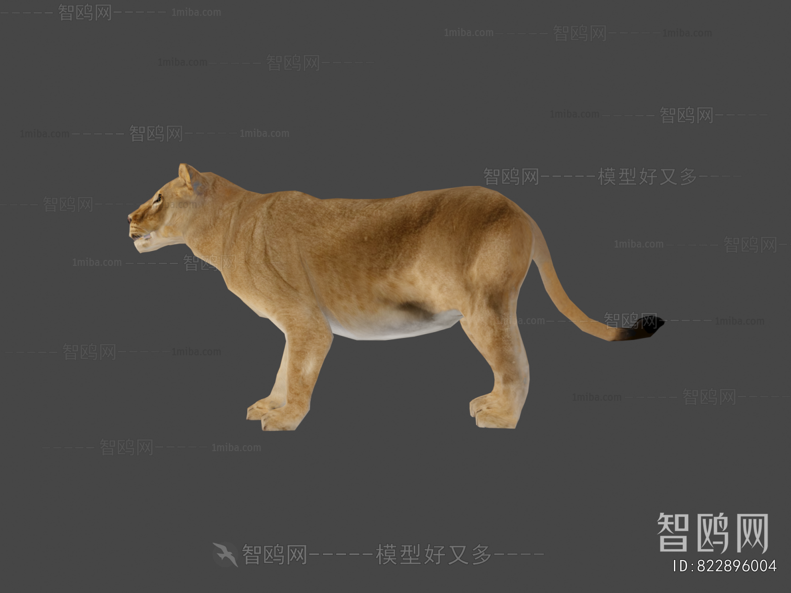 Modern Animal