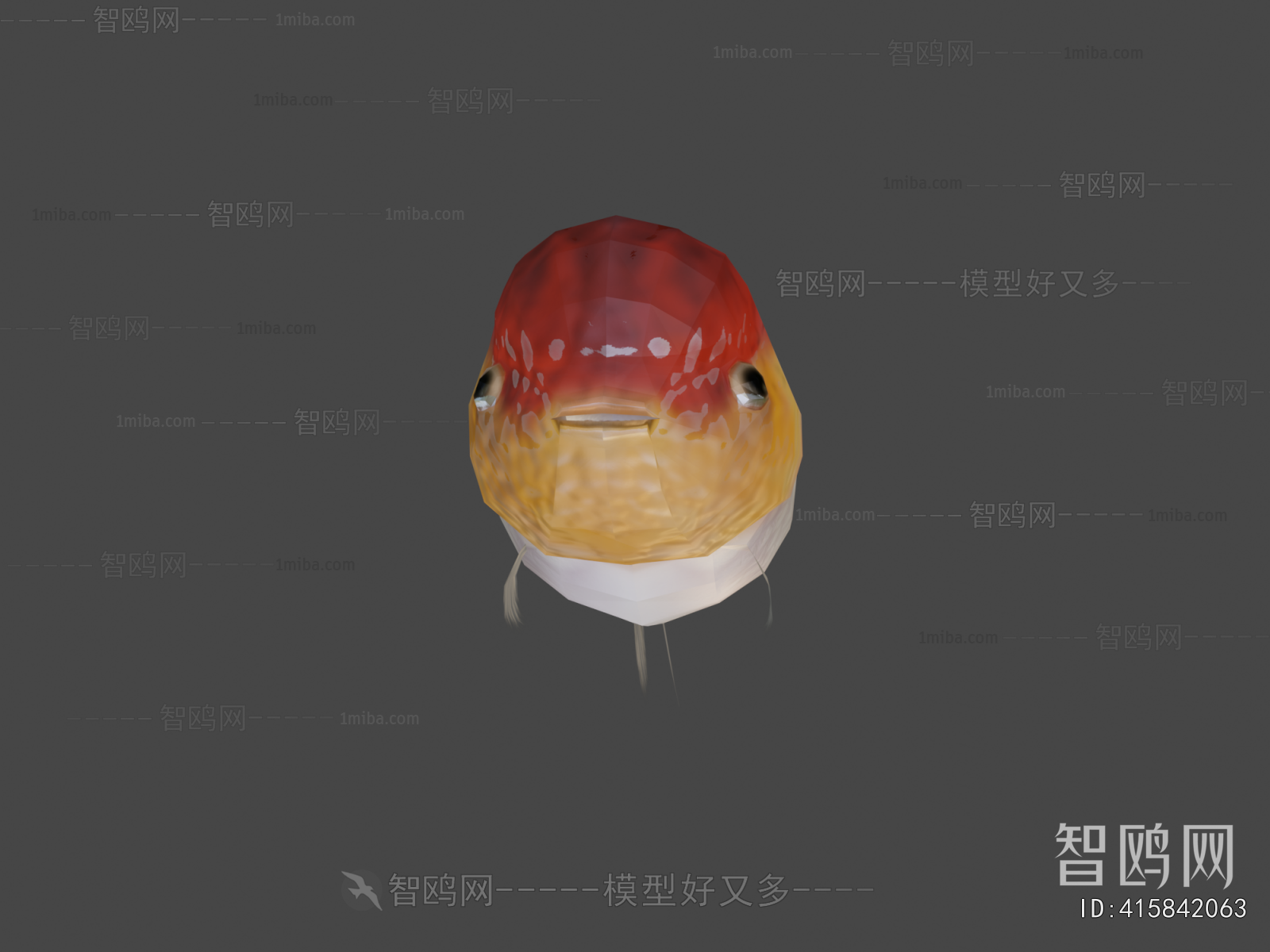 Modern Aquatic Animals