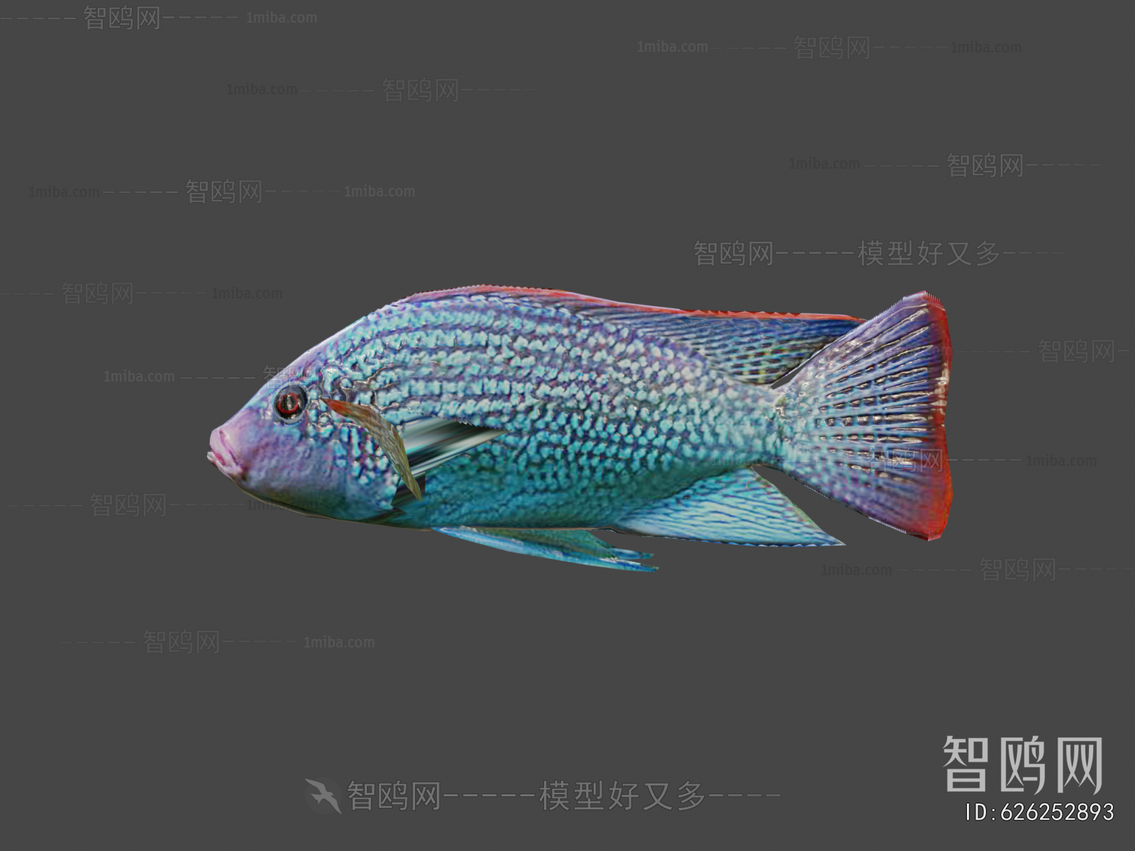 Modern Aquatic Animals