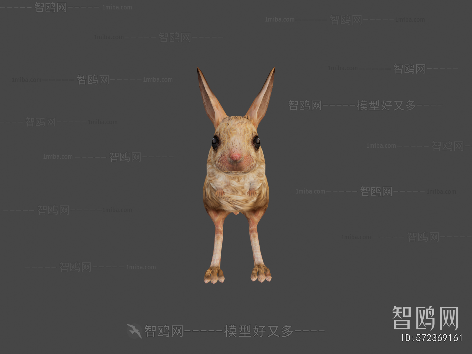 Modern Mammal