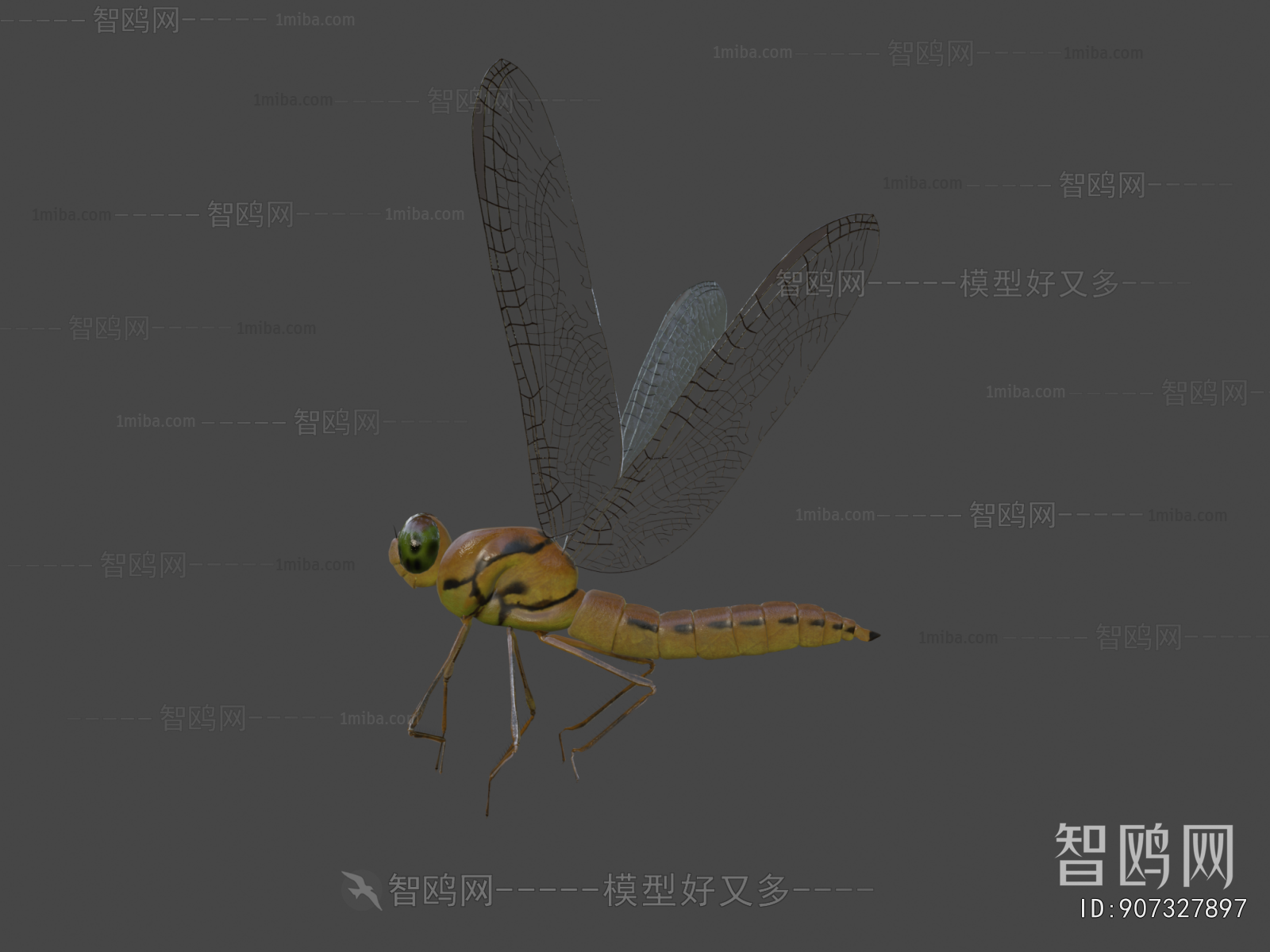 Modern Flying Animals