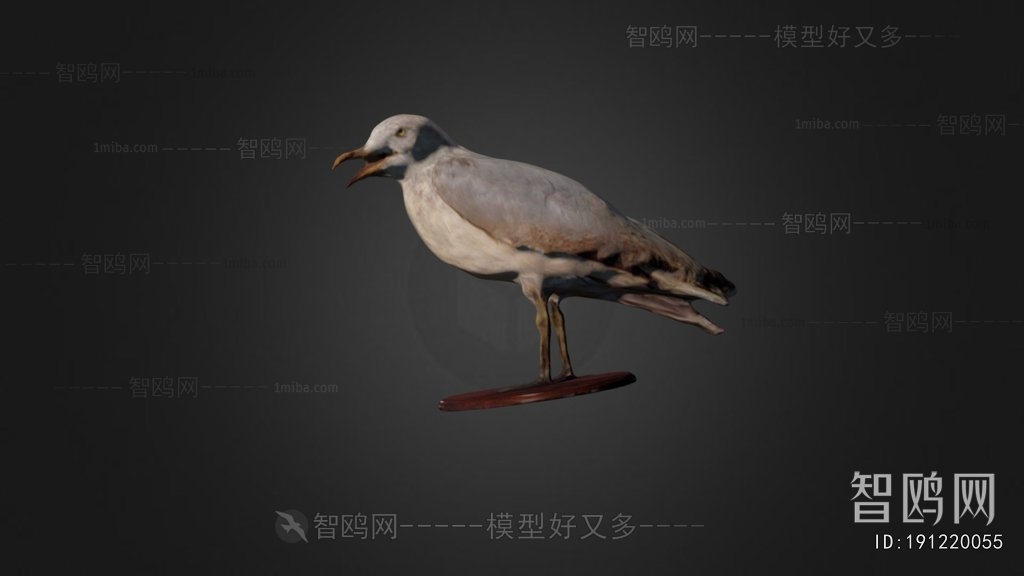 Modern Flying Animals