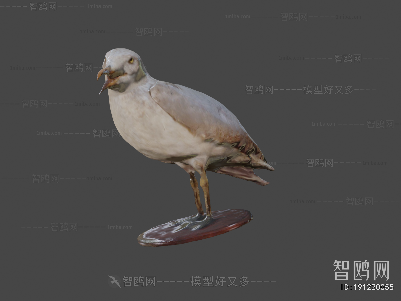 Modern Flying Animals