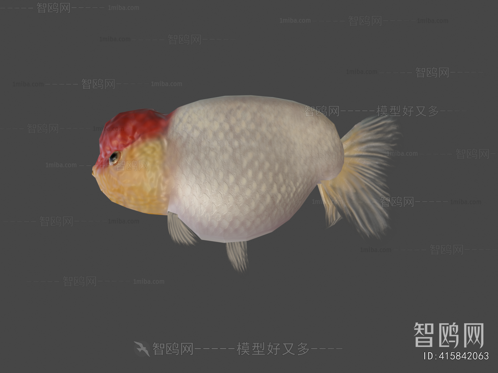 Modern Aquatic Animals