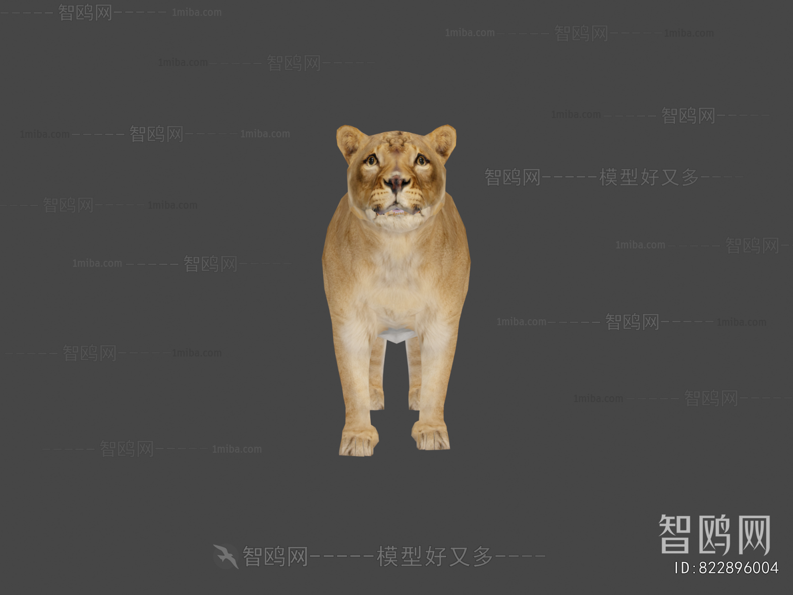 Modern Animal