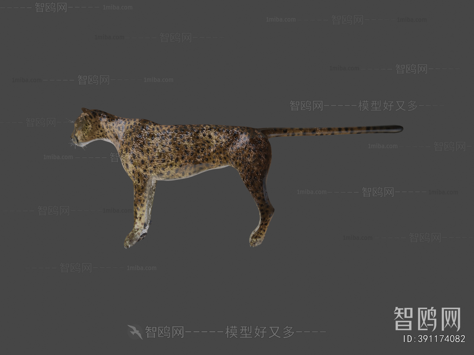 Modern Mammal