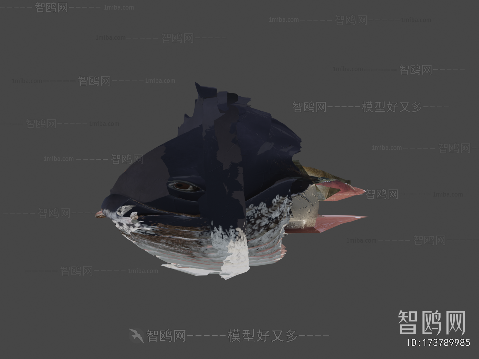 Modern Animal