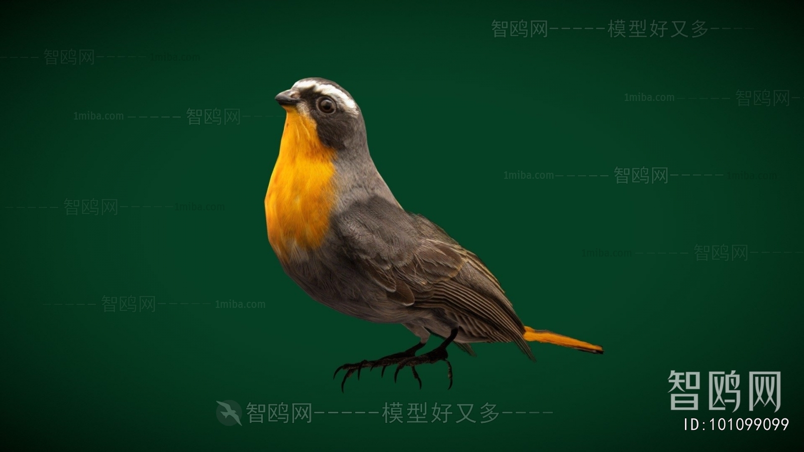 Modern Animal