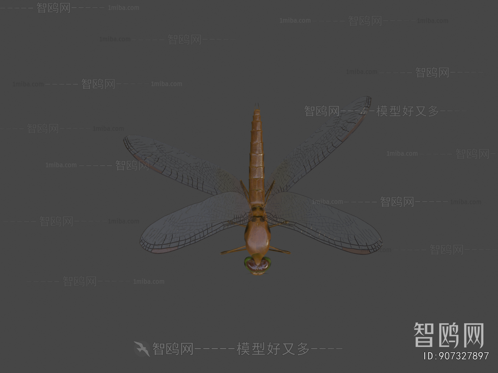 Modern Flying Animals