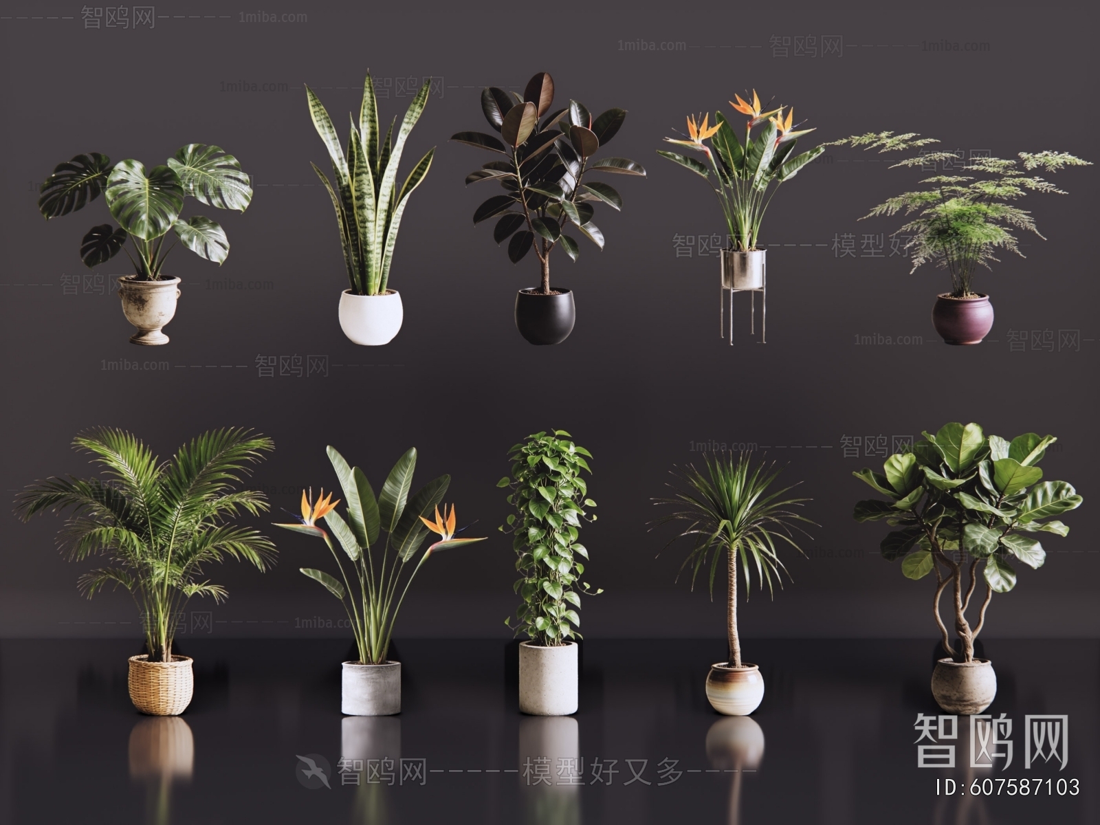 Modern Ground Green Plant Potted Plants