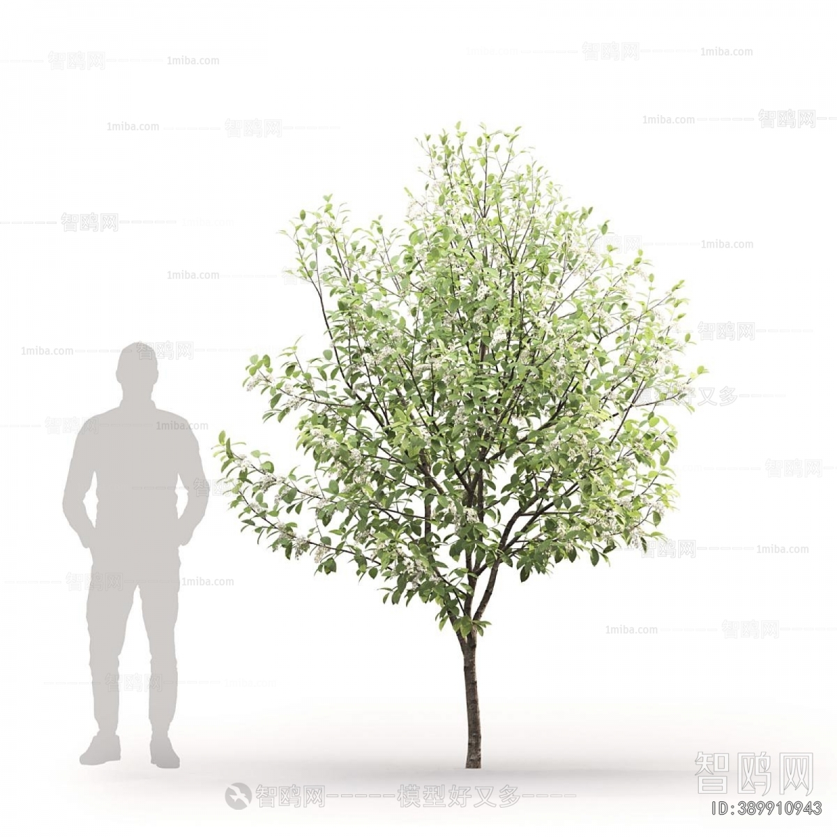 Modern Tree