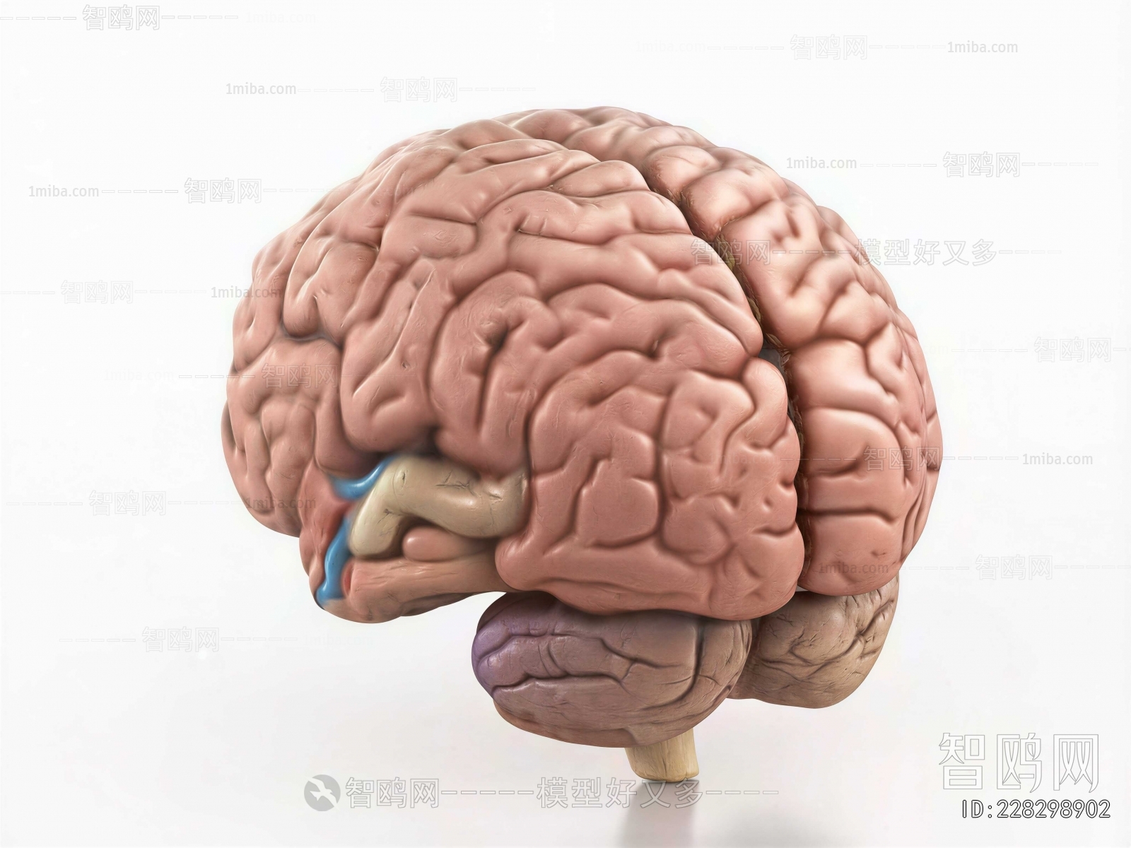 Modern Medical Equipment