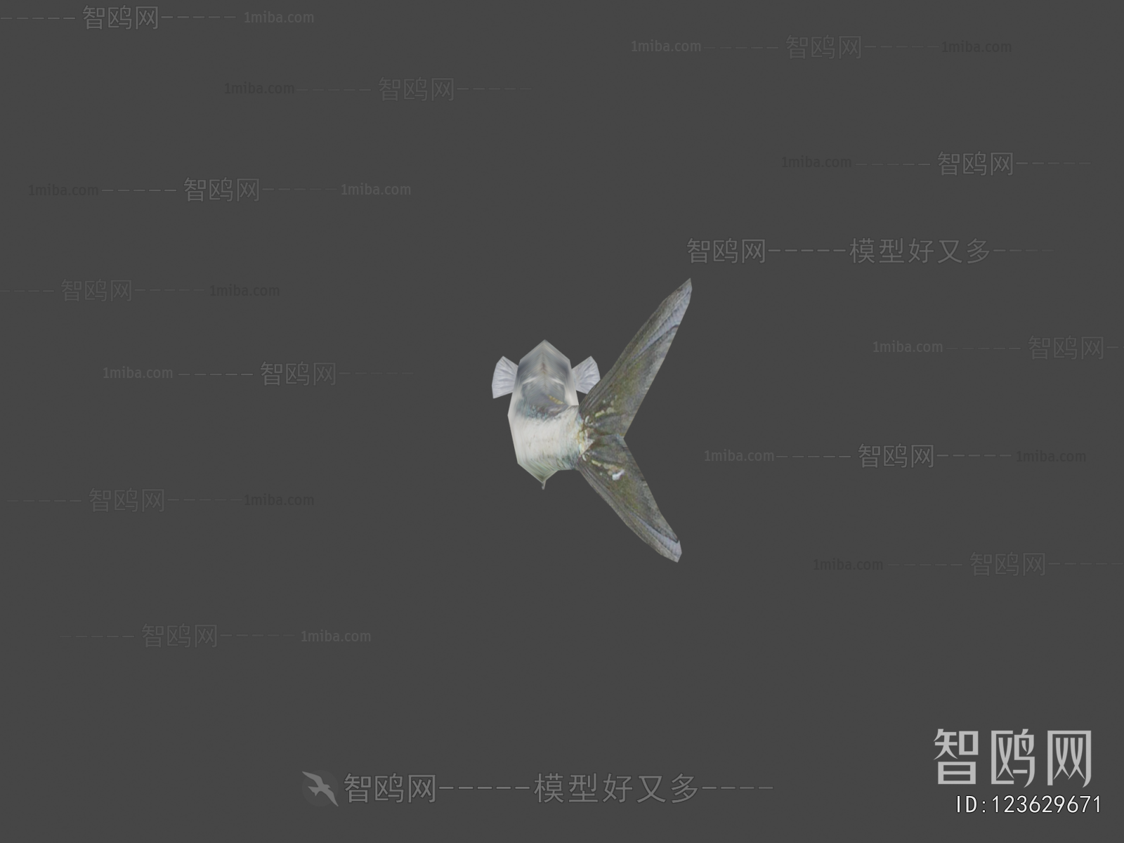 Modern Animal