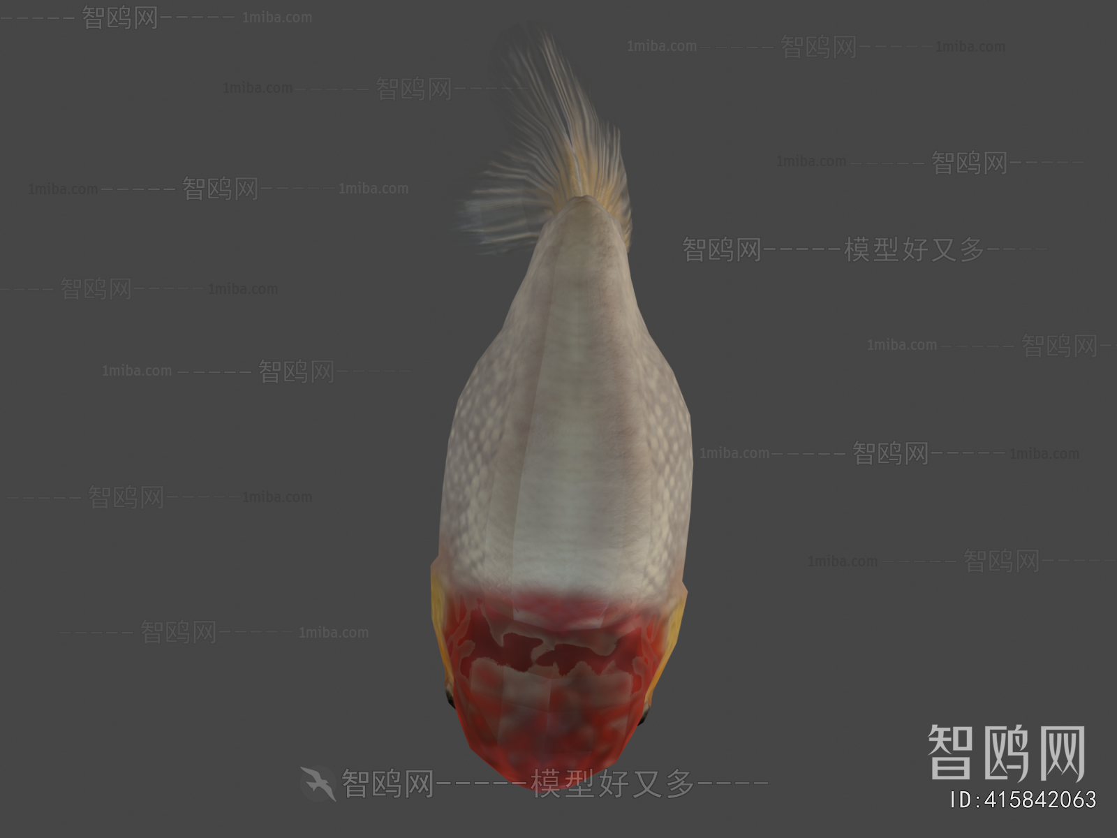 Modern Aquatic Animals