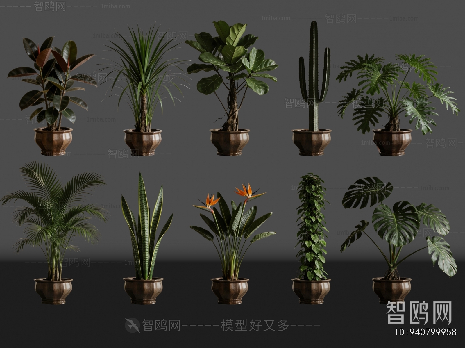 Modern Ground Green Plant Potted Plants