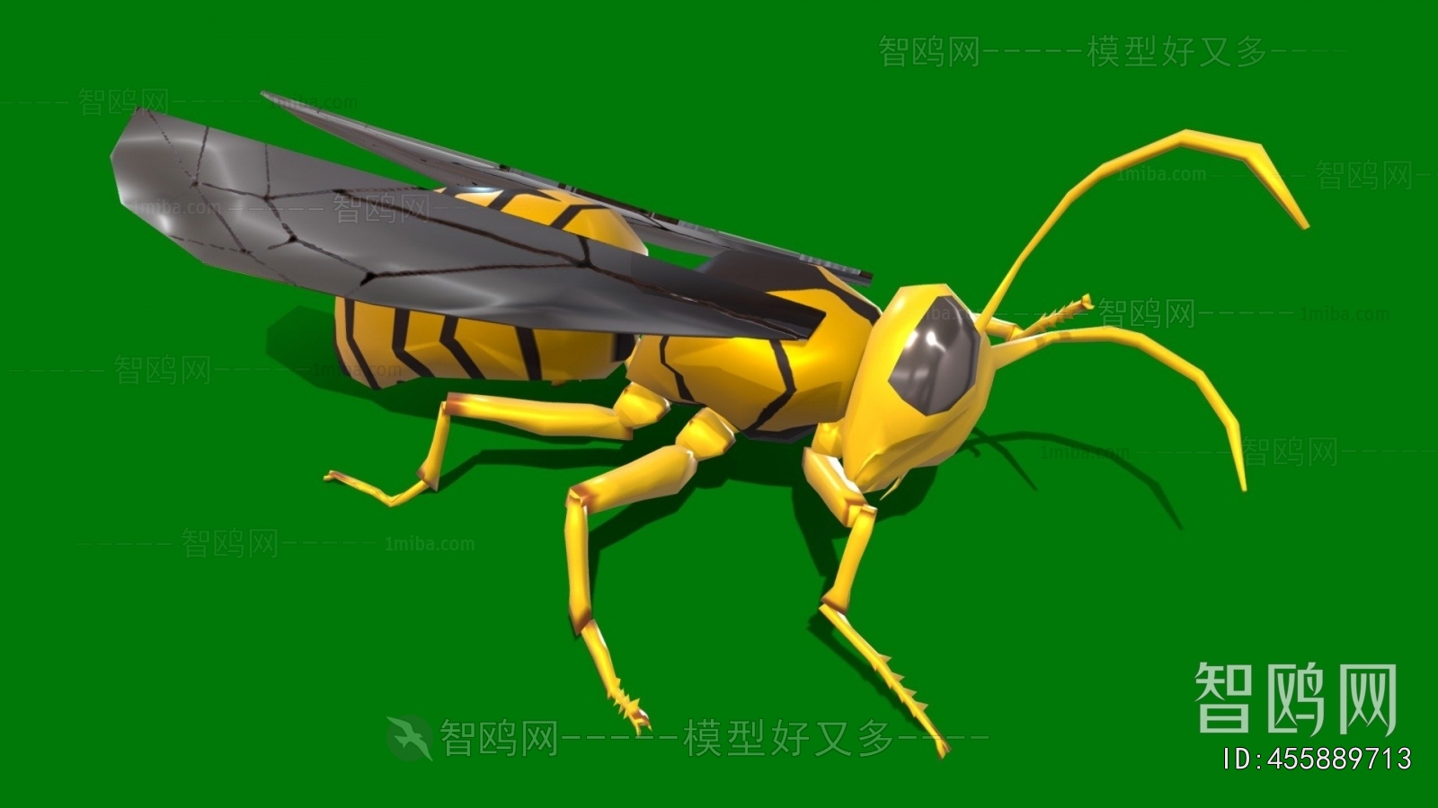 Modern Animal