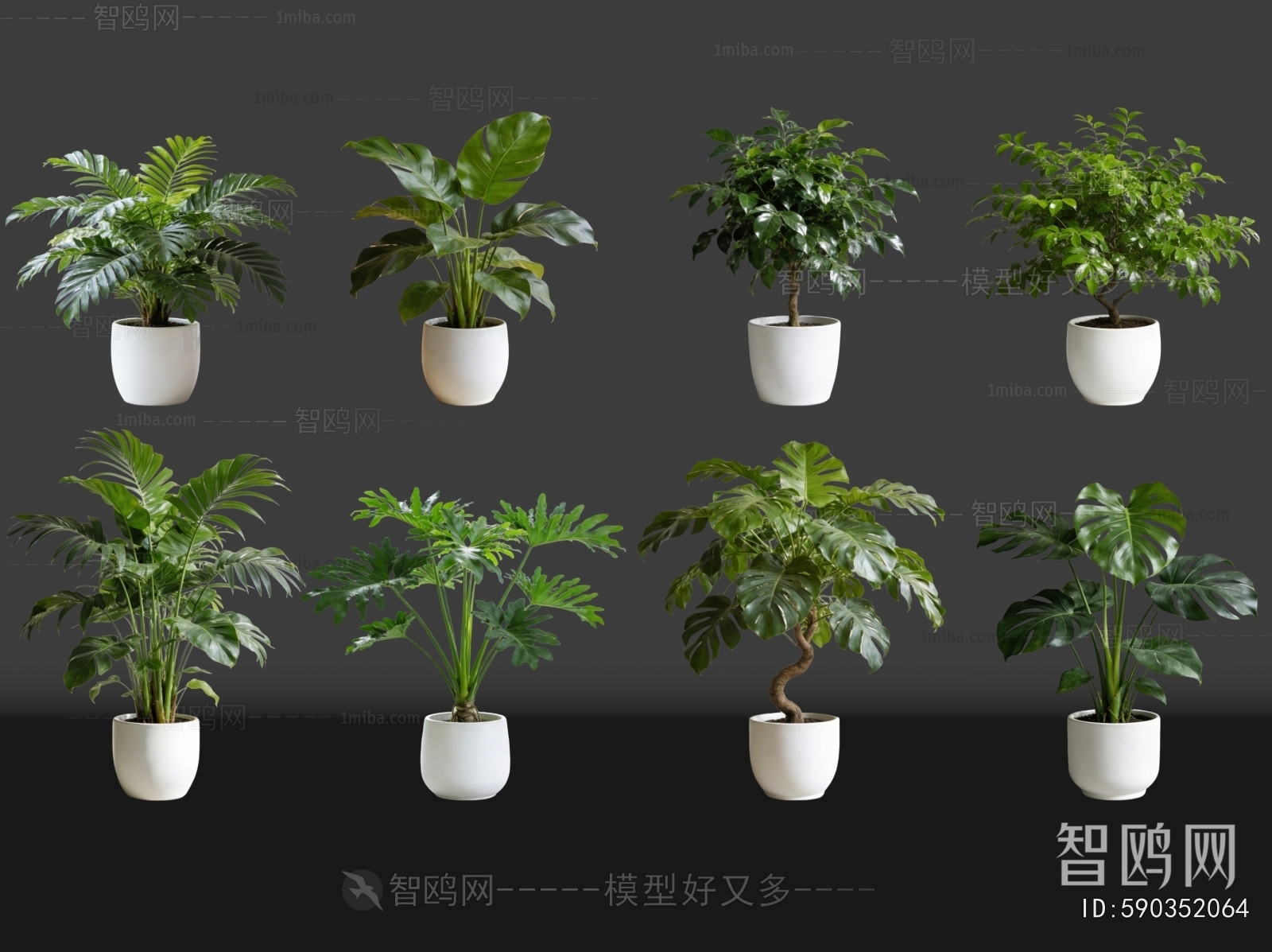 Modern Ground Green Plant Potted Plants