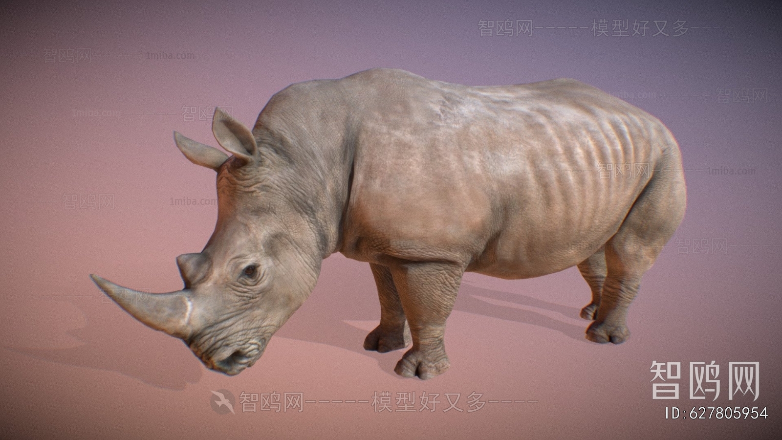 Modern Mammal