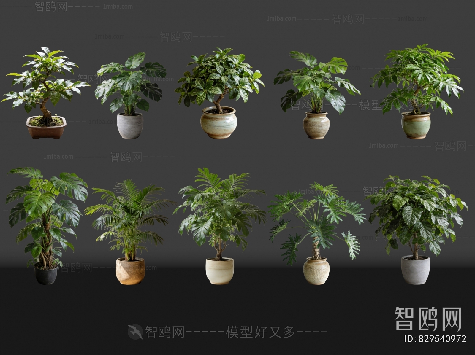 Modern Potted Green Plant