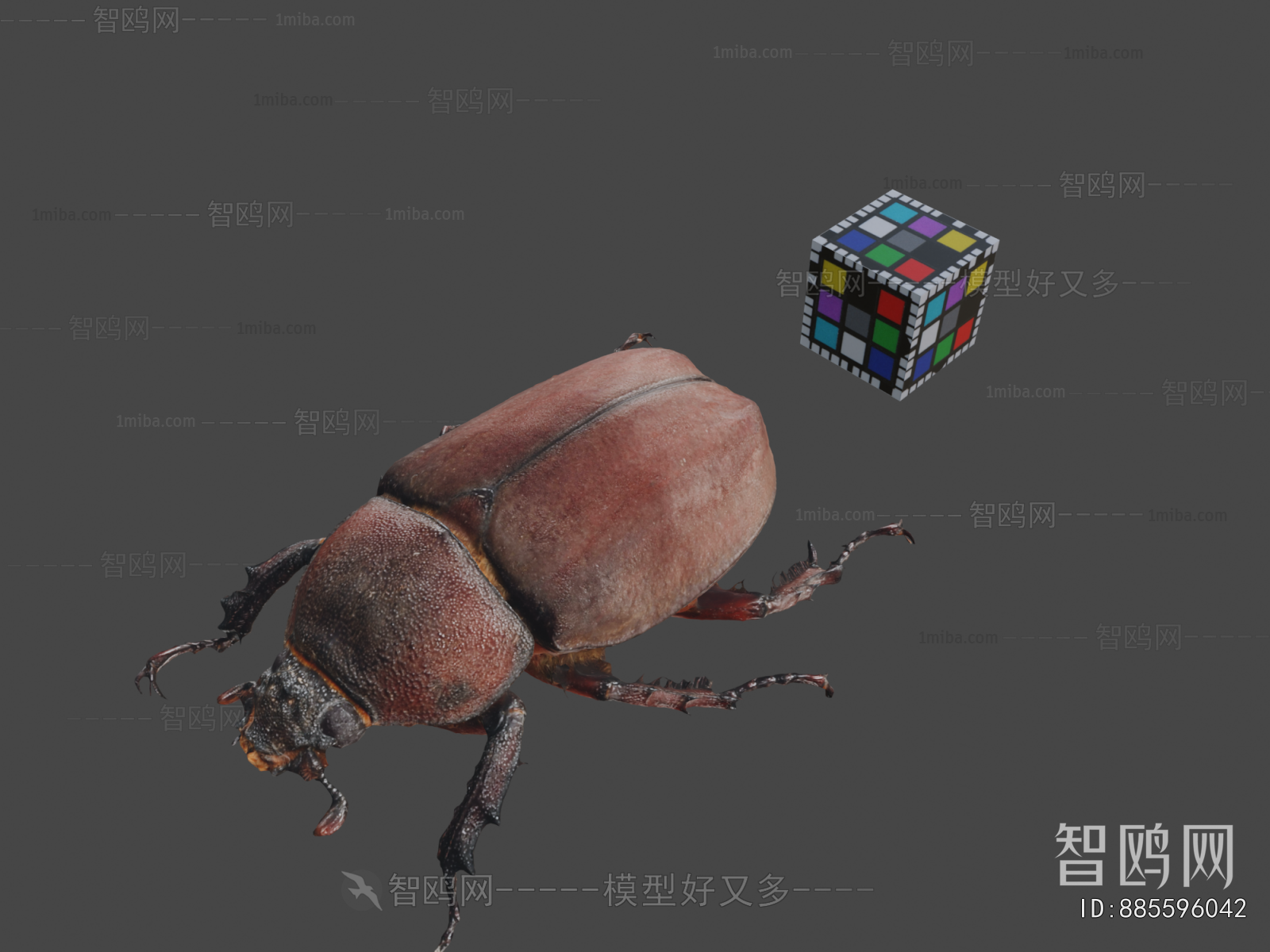 Modern Animal