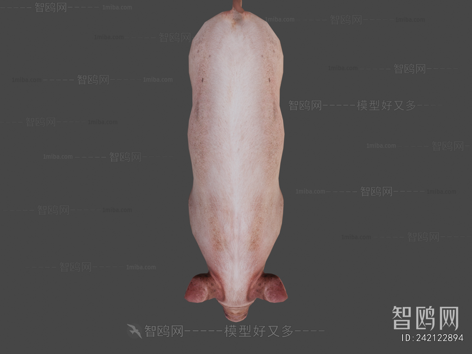 Modern Animal Pig