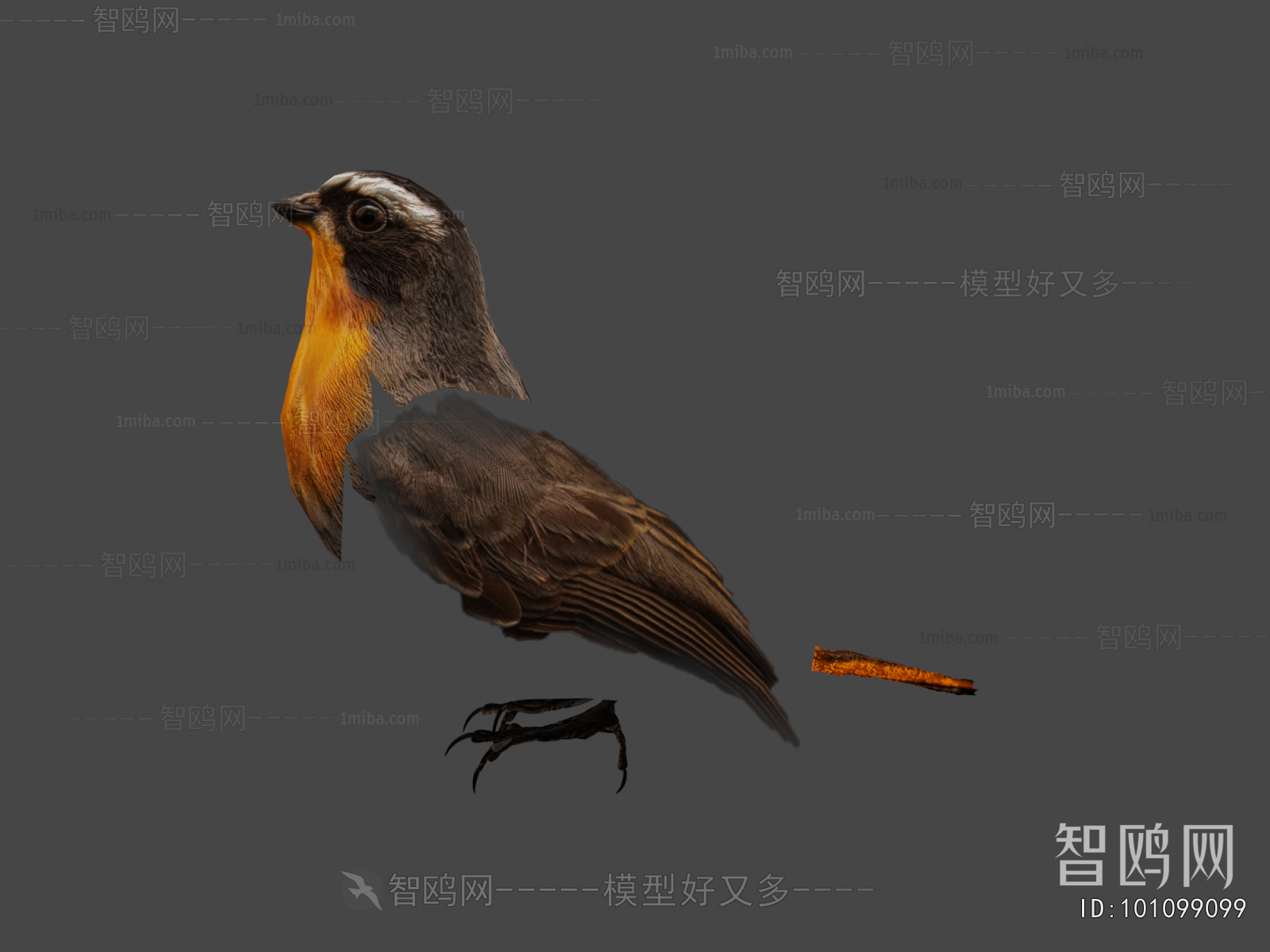 Modern Animal