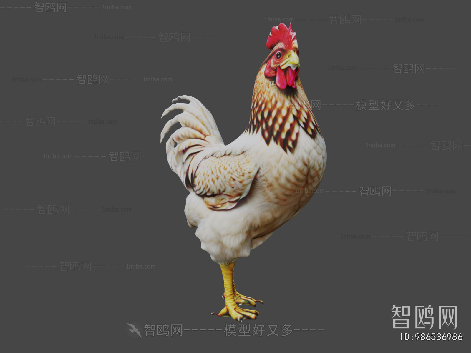 Modern Poultry Animal