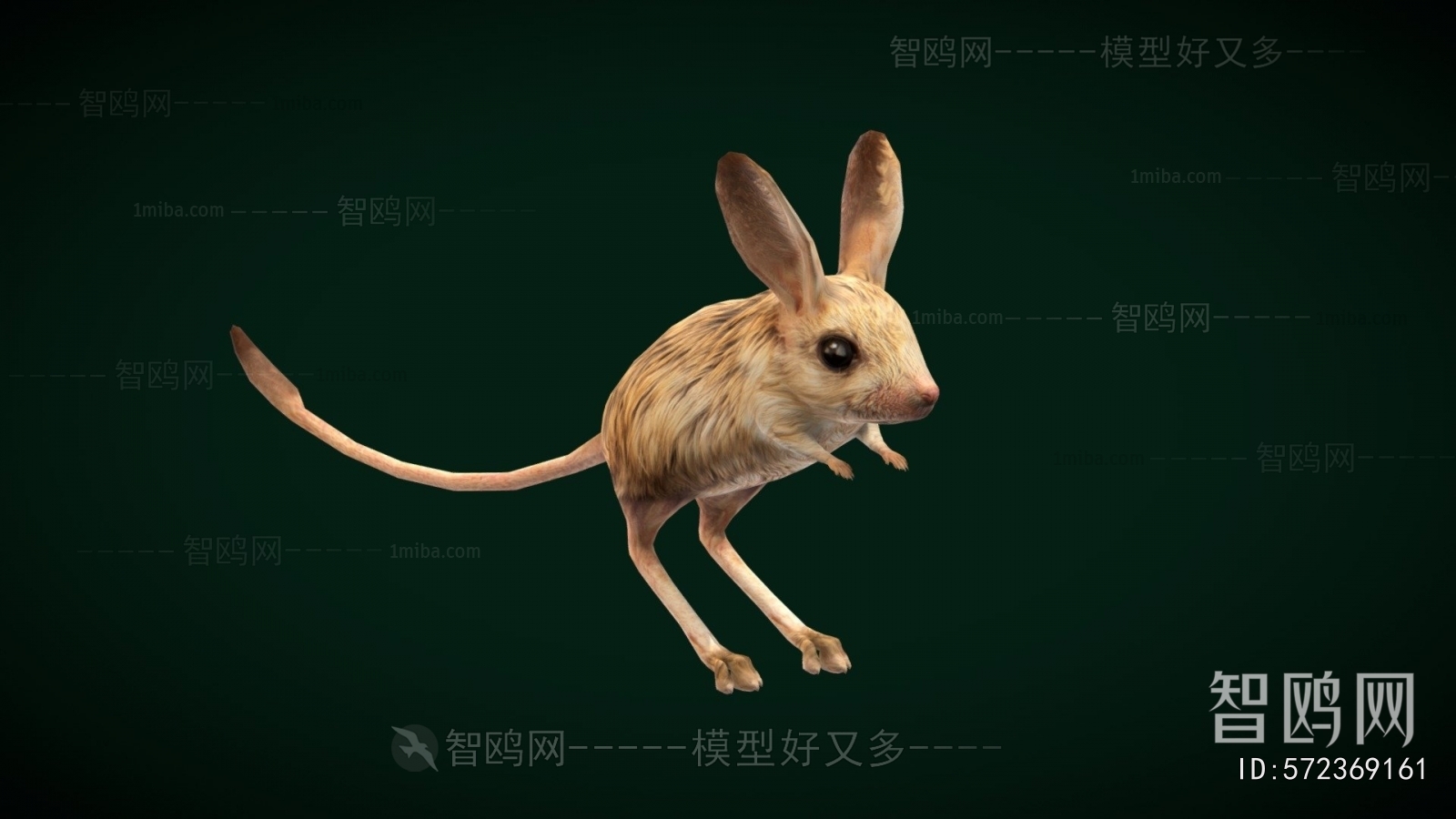 Modern Mammal
