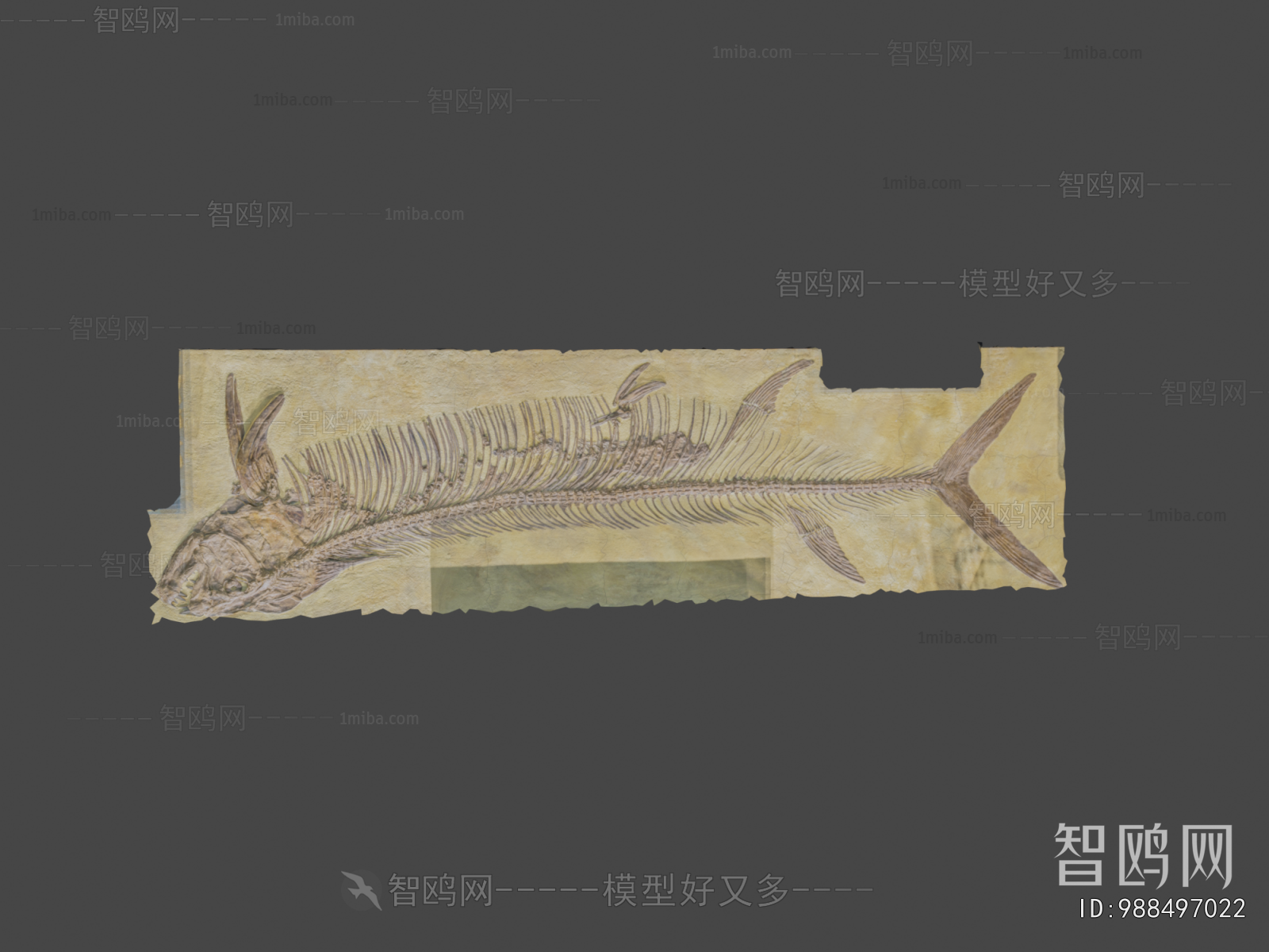 Modern Medical Equipment