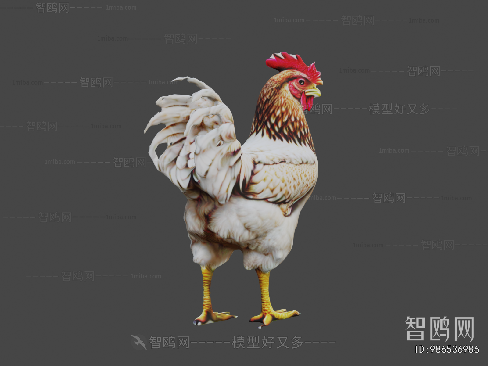 Modern Poultry Animal